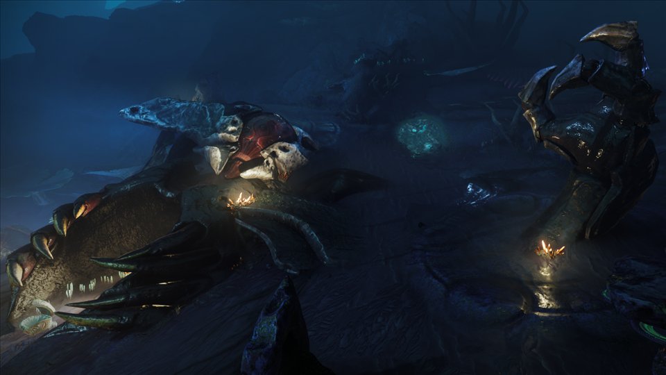 Le corps d'Oryx couché au fond de la mer